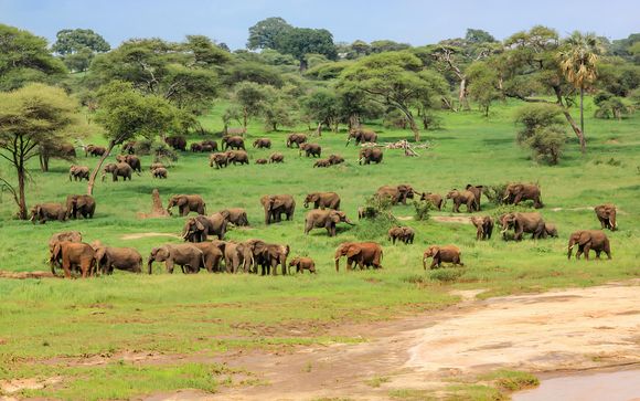 Tu itinerario durante el safari