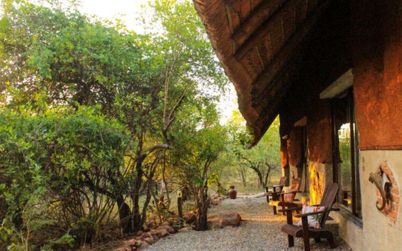 ¡Tu aventura salvaje en Calabash Safari Lodge!