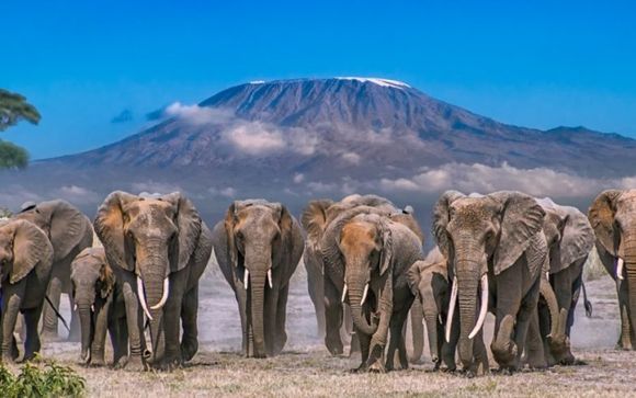 Tu itinerario durante el safari