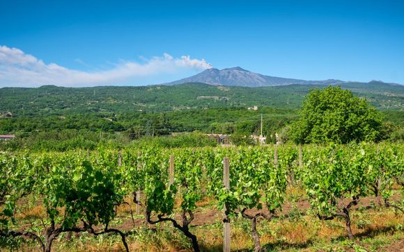 ¡Completa tu estancia!