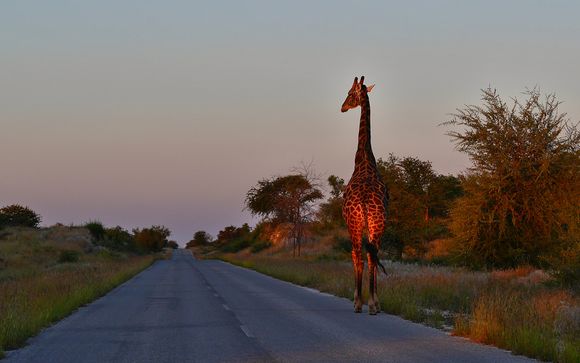 Itinerario - Salidas en grupo