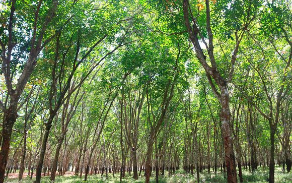 Itinerario - Salidas en grupo