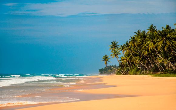 Itinerario - Circuito privado