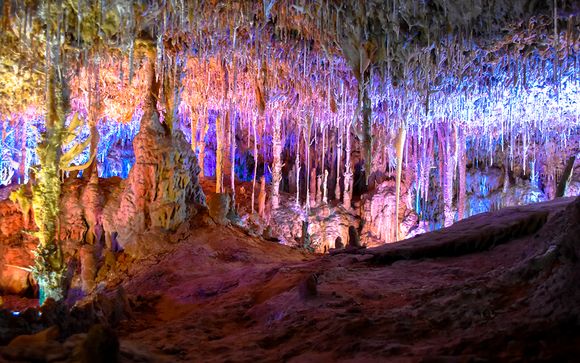 Actividades incluidas