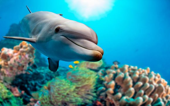 Hotel Angsana Balaclava 5*