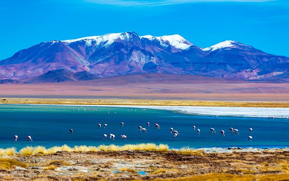 Un viaje increíble por los paisajes de Sudamérica