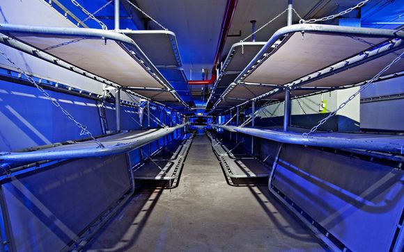 Entrada al Museo de Historia de Berlín y visita guiada por el búnker atómico original