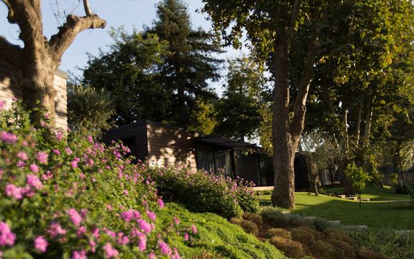 Vilar de Mouros te espera