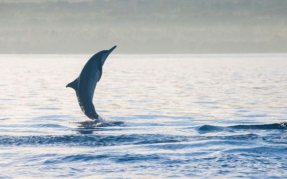 Itinerario / Salidas en grupo