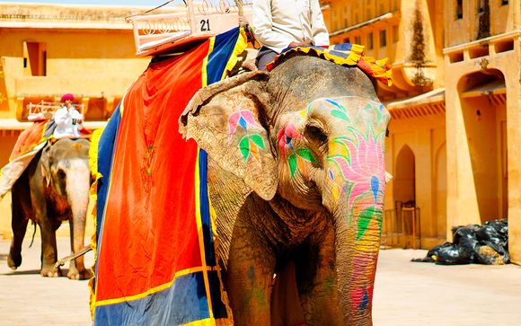 Itinerario / Circuito en grupo