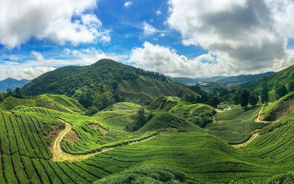 Itinerario - Salidas en grupo
