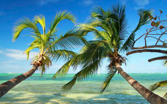 Punta Cana te espera