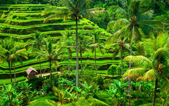 Tus destinos te esperan