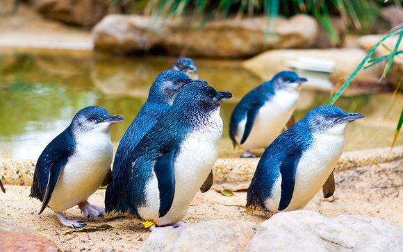 Itinerario - Visitas sugeridas