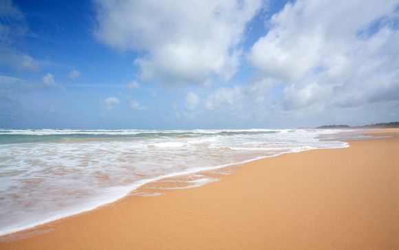 Itinerario - Salidas en grupo