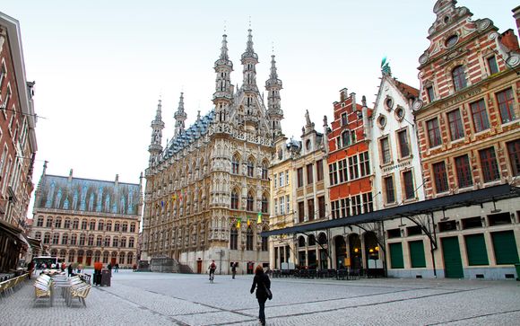 Fin de Año en Flandes (oferta 1) - Salidas en grupo