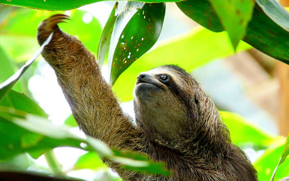 Itinerario (Autotour)