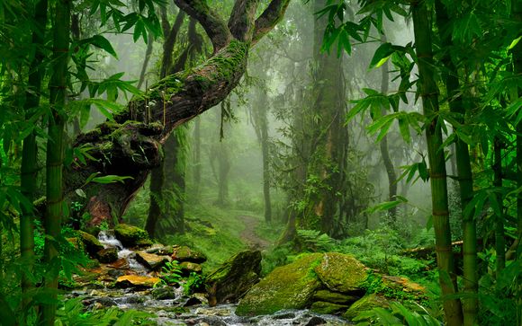 Ecuador con Selva Amazónica