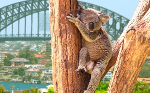 Tu hotel de 4* en Brisbane