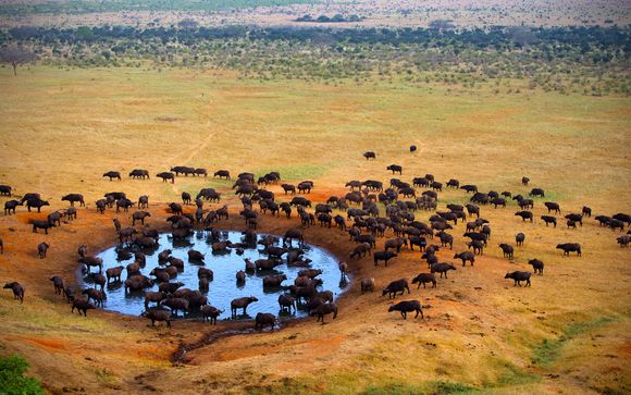 Su safari de 2 días y 1 noche