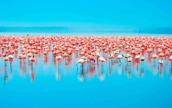 Itinerario - Salidas en grupo