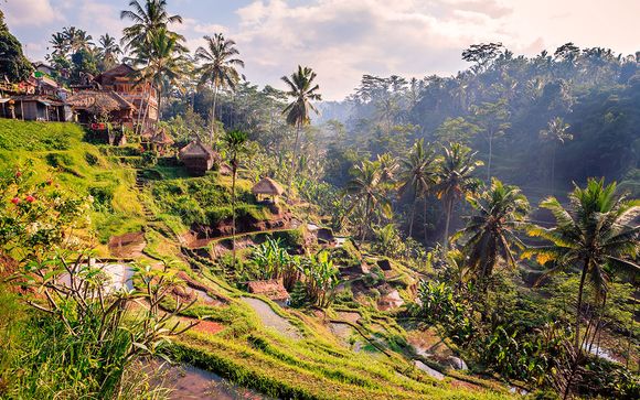 Itinerario / Salidas en grupo