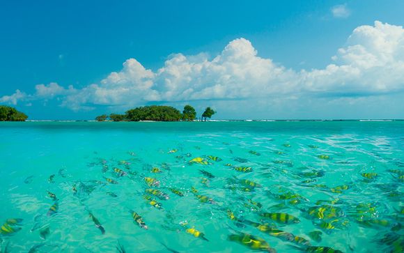 Itinerario - Salidas en grupo