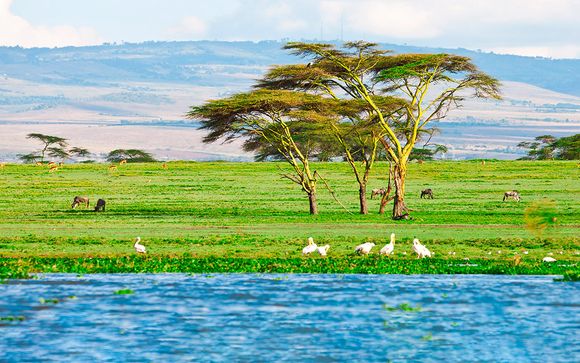 Itinerario - Salidas en grupo