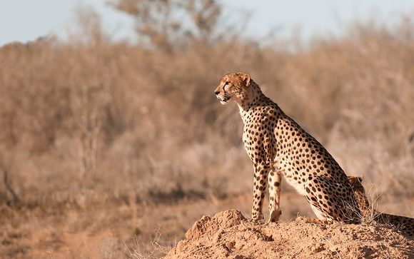 Itinerario - Salidas en grupo