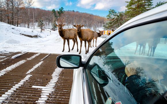 Itinerario - Salidas en grupo