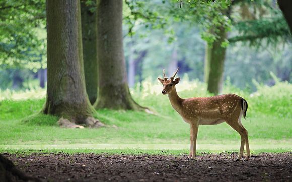 Poitou Charentes te espera
