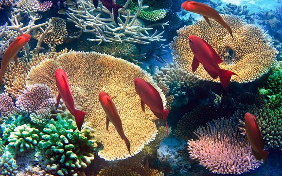 Hotel Angsana Balaclava 5*