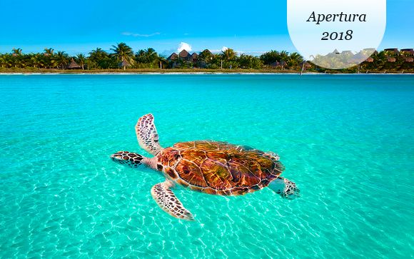 A partir del 01/10: Vacaciones únicas en la isla hippie del Caribe