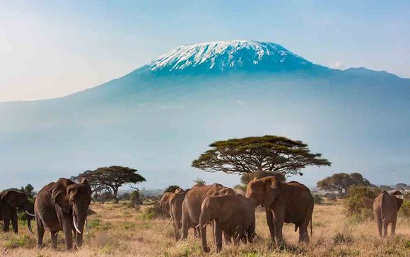 Itinerario - Salidas en grupo