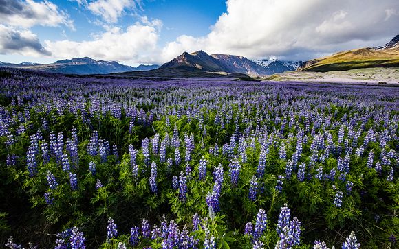 Itinerario - Salidas en grupo