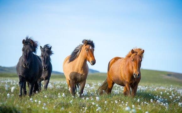 Itinerario - Salidas en grupo