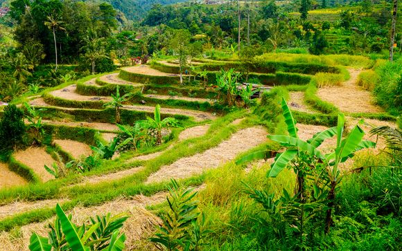 Indonesia te espera