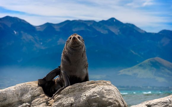 Itinerario - Visitas sugeridas