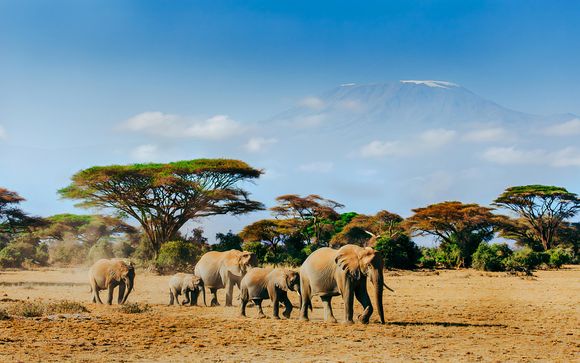 Rendez-vous... au Kenya et à Zanzibar