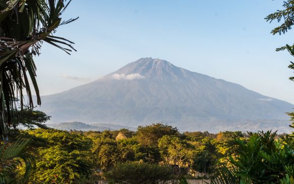 Rendez vous... en Tanzanie