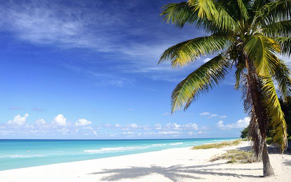 Rendez-vous à Cuba