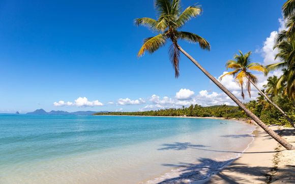 Rendez-vous ... dans les Caraïbes