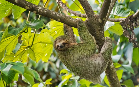 Mettez une option sur l