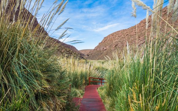 Zoom sur votre programme