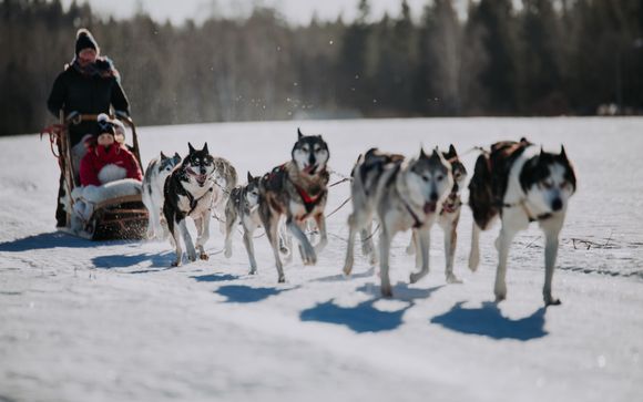 Forfait hiver (20/01/26 - 22/03/26) :