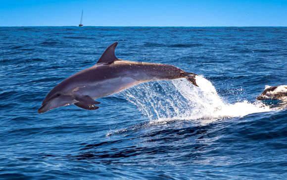 Votre option incluse