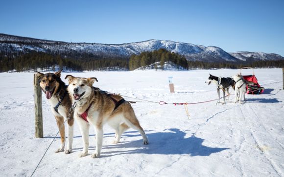 Mettez une option sur l