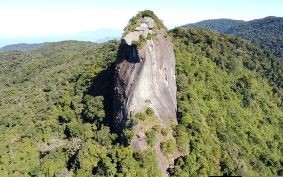 Mettez une option sur l