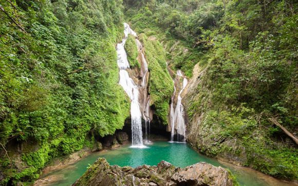 Zoom sur votre programme