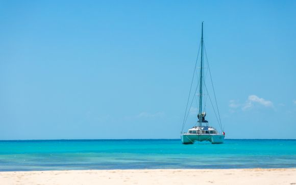 Zoom sur votre programme